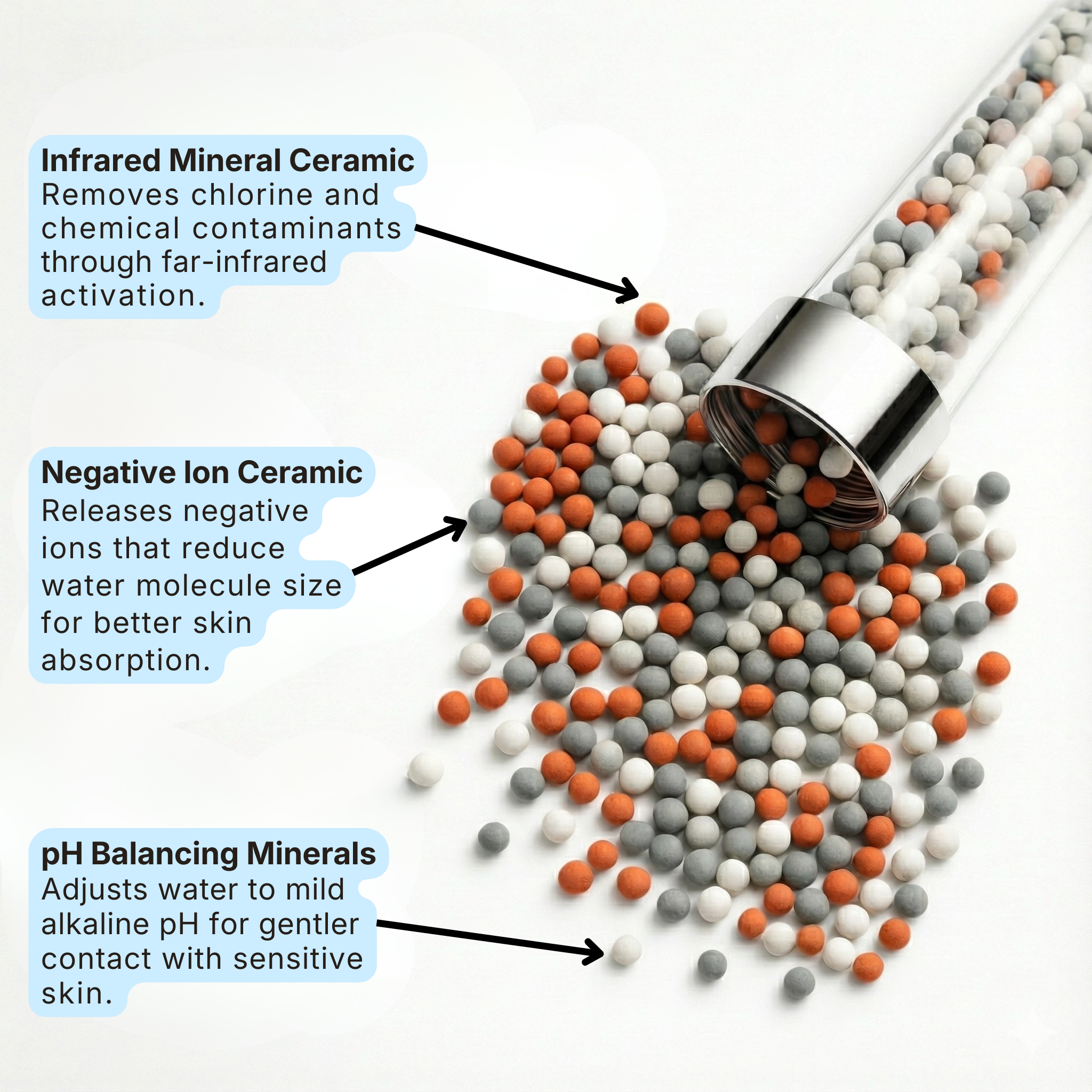 Rooted - Filtered Showerhead